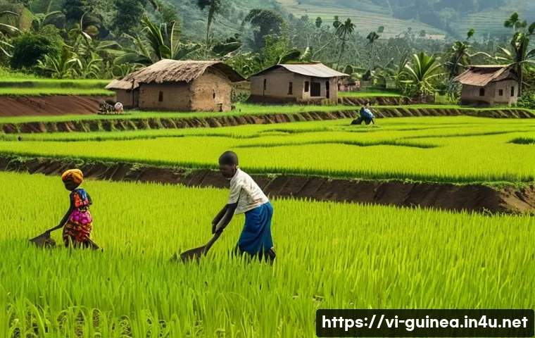 기니에서 해외 투자 기회 분석 관련 이미지 1